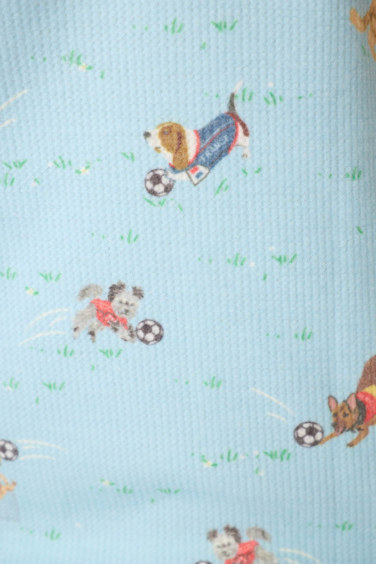 Boyfriend Boxer World Cup Pups Short Set