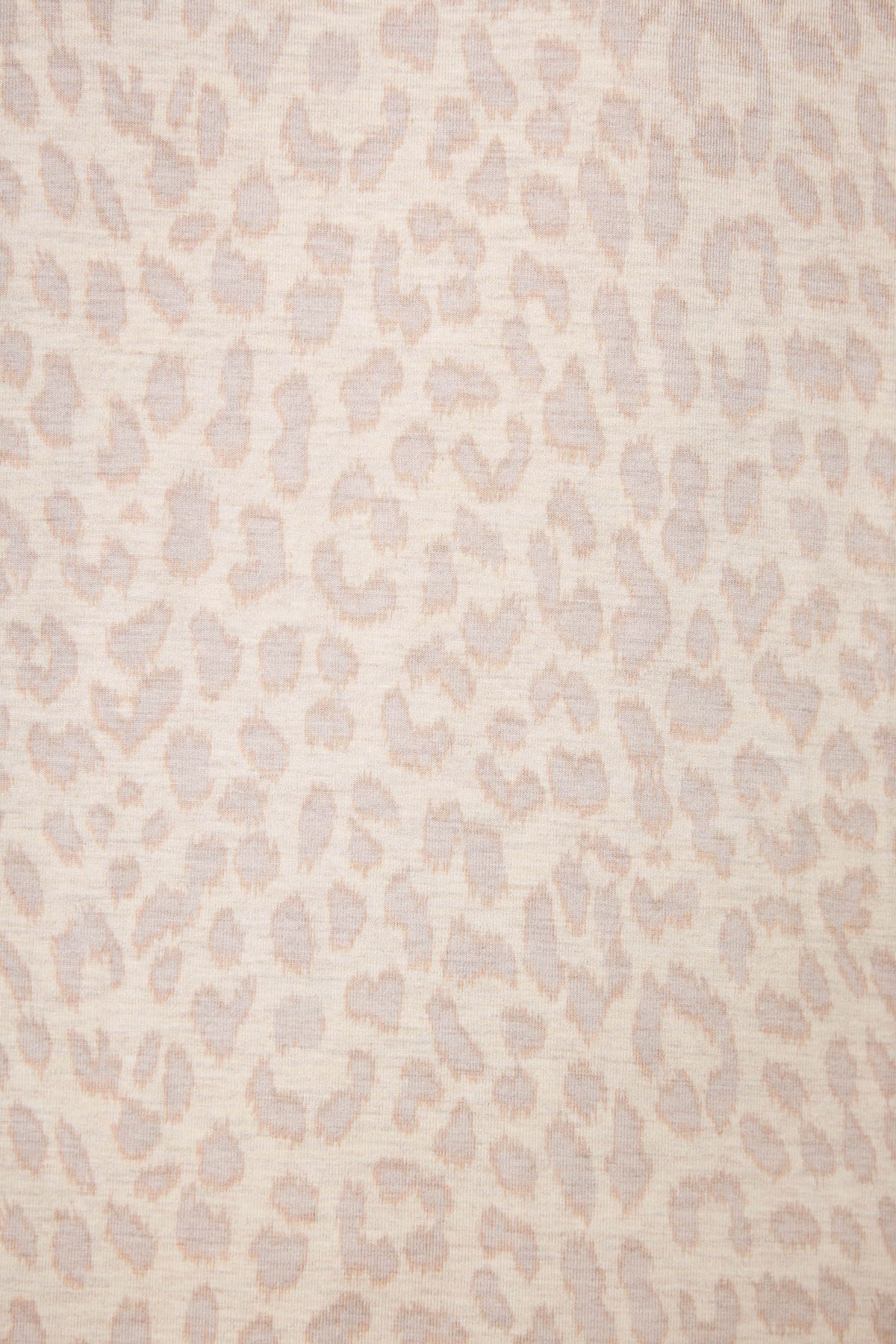Luxe Leopard Dreams Banded Pants