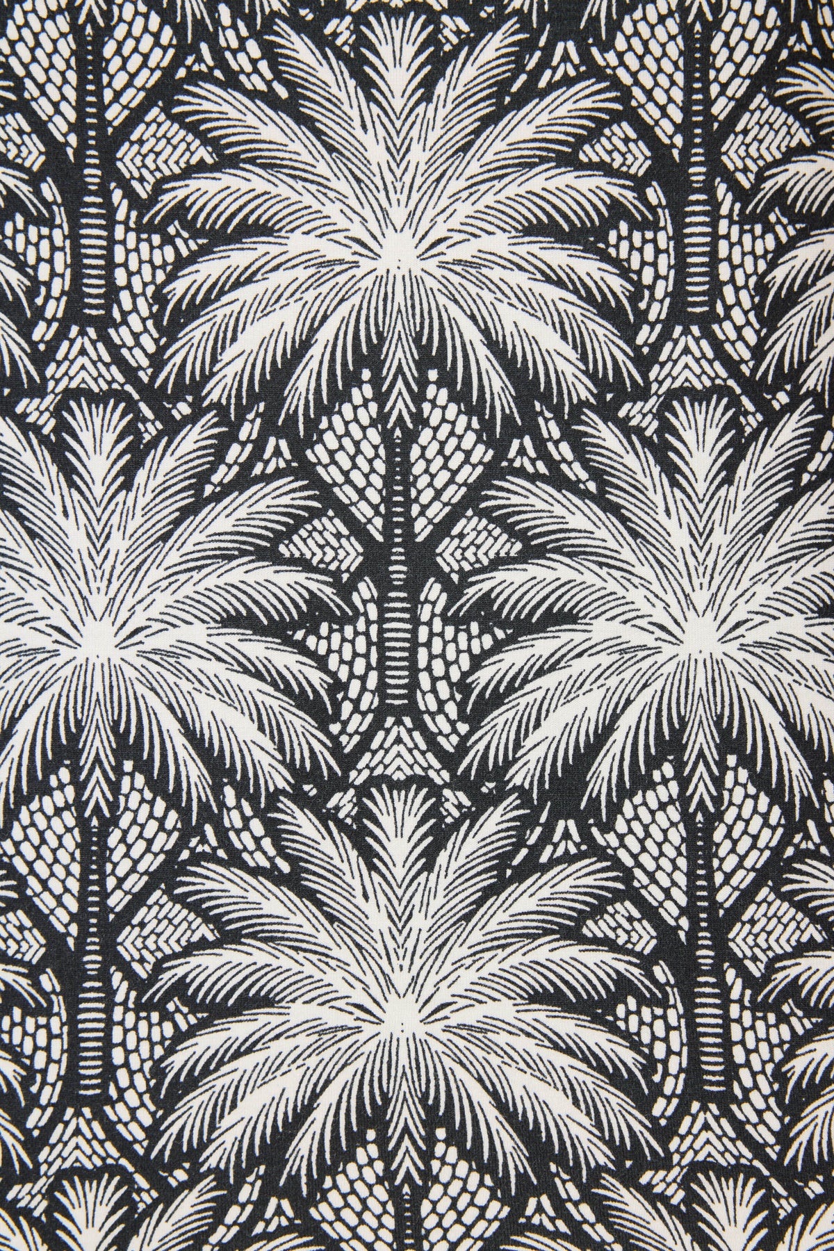 Shady Beach Dreams Shorts