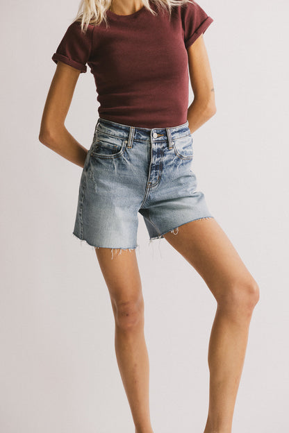Ariel Distressed Denim Shorts