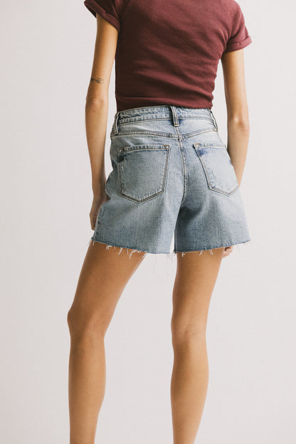 Ariel Distressed Denim Shorts