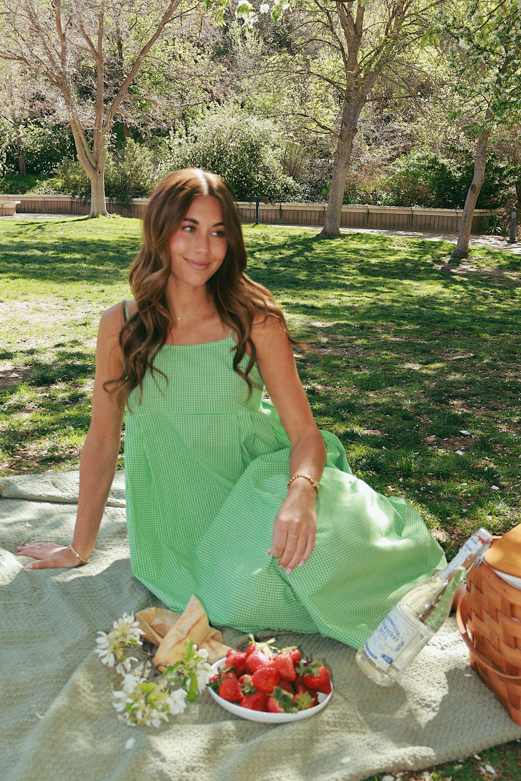 Alice Gingham Midi in Apple Green
