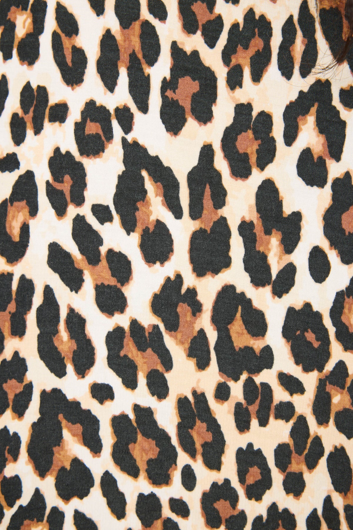 Holiday Dreams Leopard Print Open Leg Pants