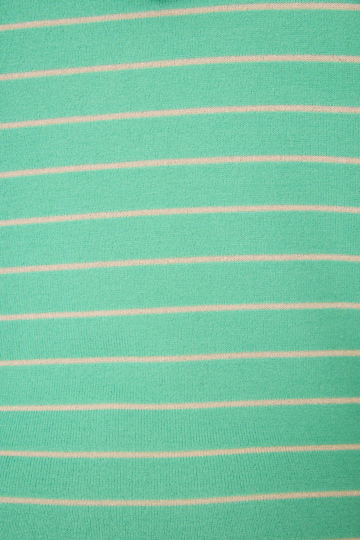 Peace & Pawlidays Green Stripe Hoodie