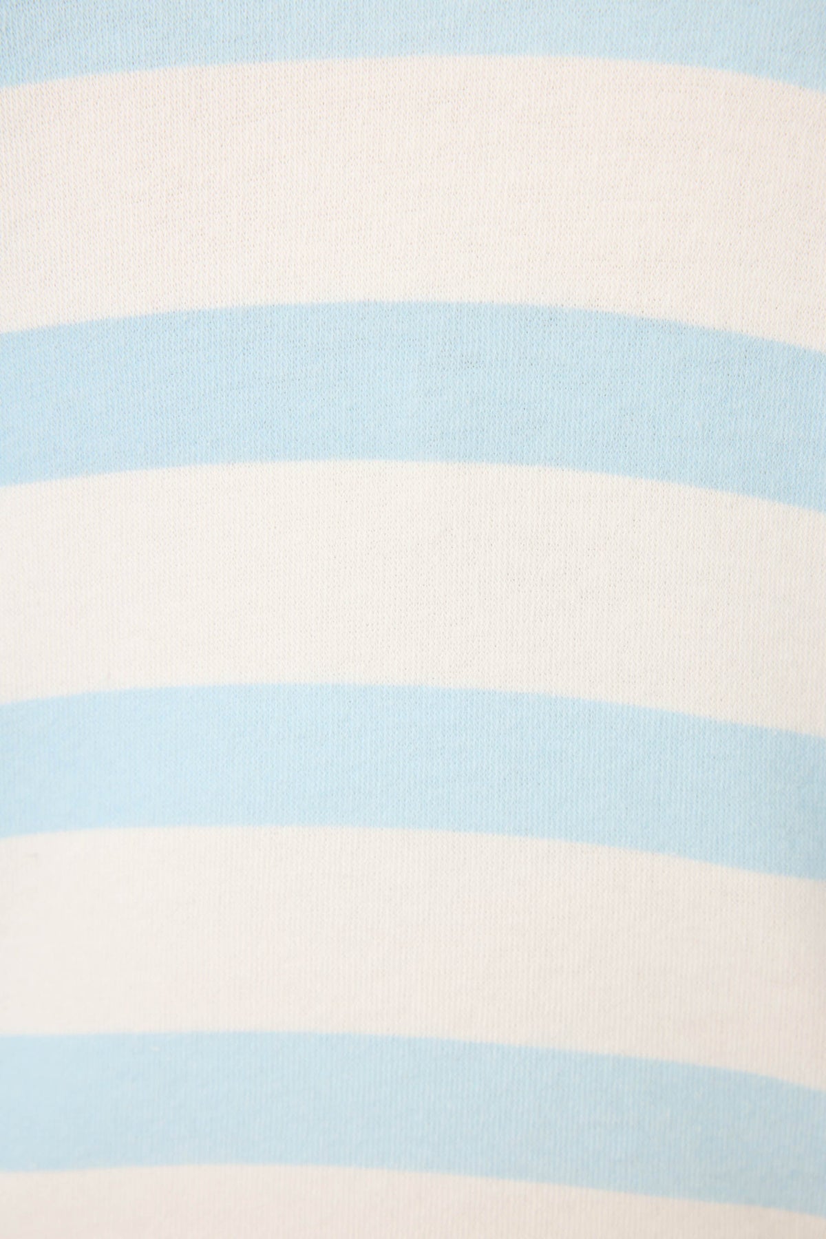 Pupcation Palms Ocean Stripe Shorts