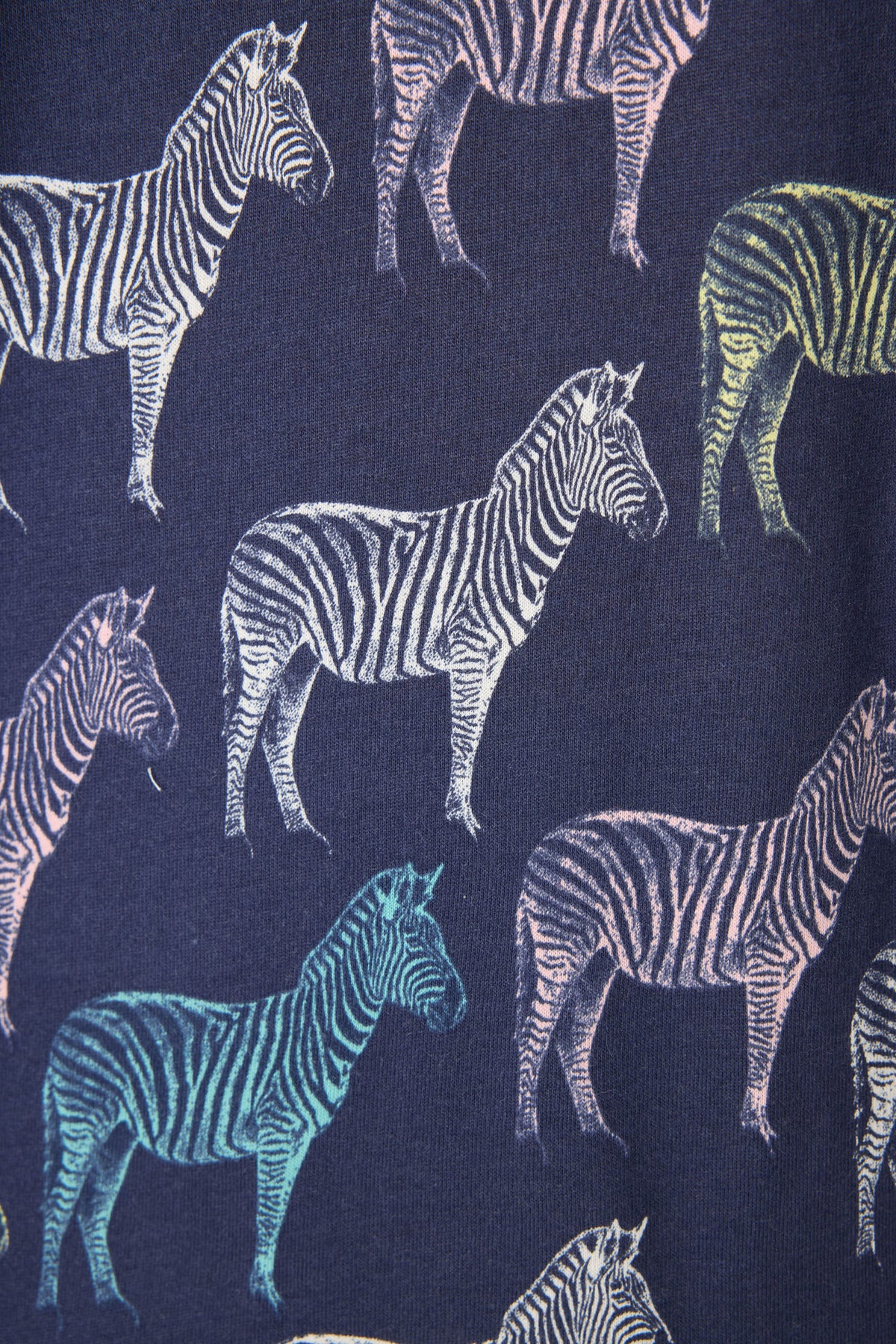 Whimsy Technicolor Safari PJ Set