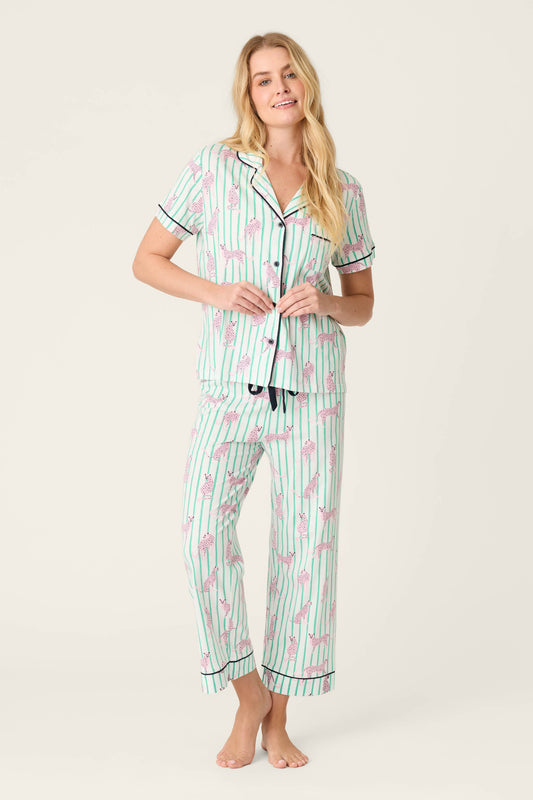 Whimsy Cool Cat Cropped PJ Set