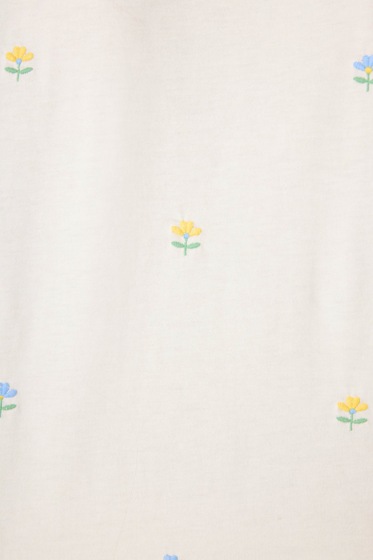 Dainty Daisy Embroidered Shorts