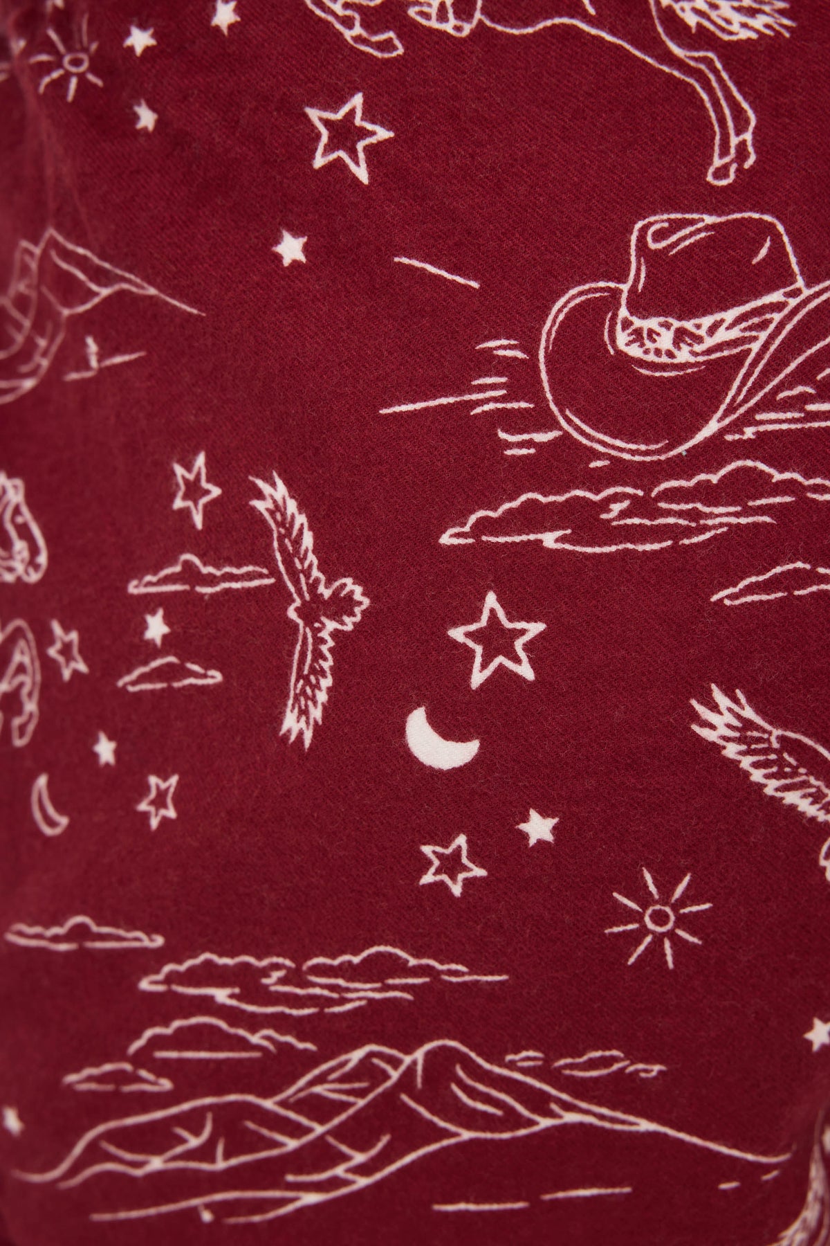Hold Your Horses Western Print Flannel Shorts