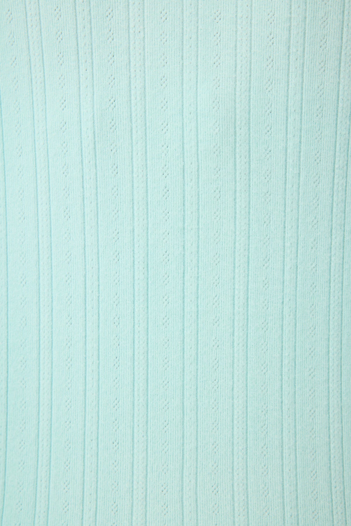 Pointelle Essentials Solid Mint Shorts