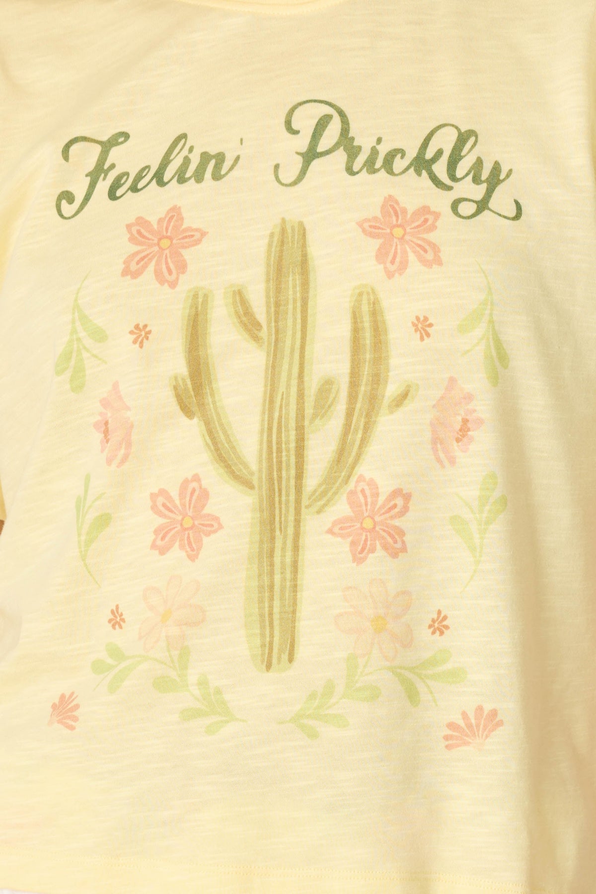 Softee "Feelin' Prickly" Graphic Print Short PJ Set