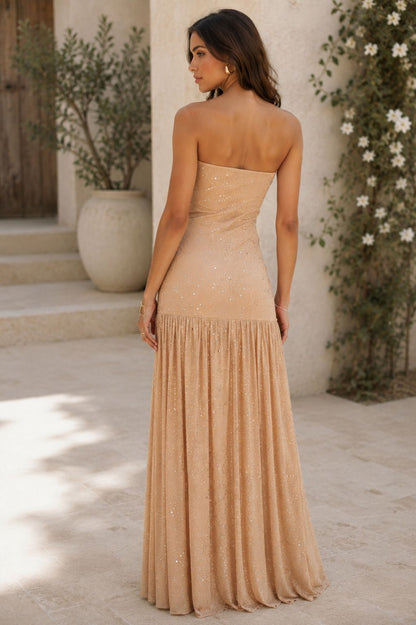 Delicate Rhinestone Drop Waist Maxi Dress - Nude Crystal