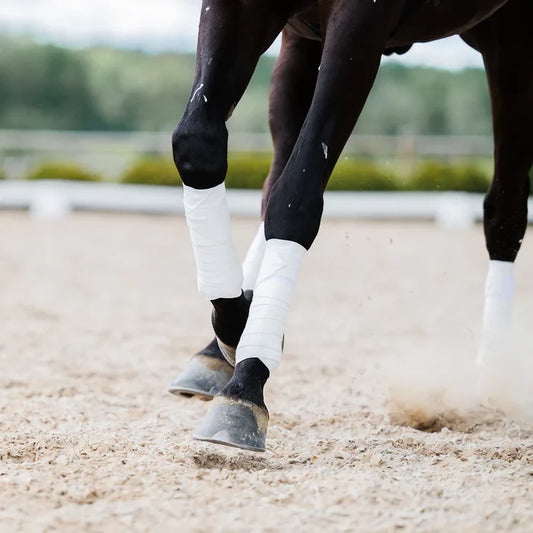 Circulation Exercise Polo Wrap