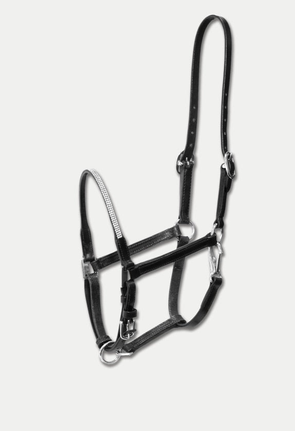 Foal/Pony Crystal Halter