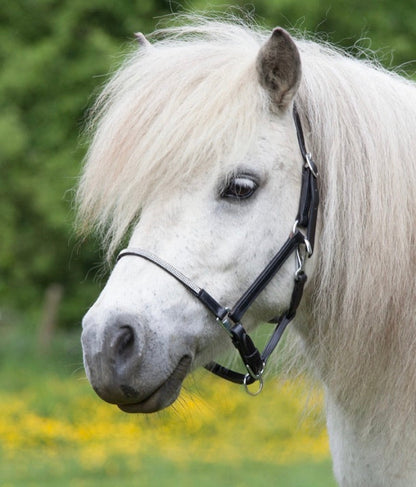 Foal/Pony Crystal Halter