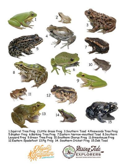Frog Watch Performance Tee (PRE-ORDER ONLY!)