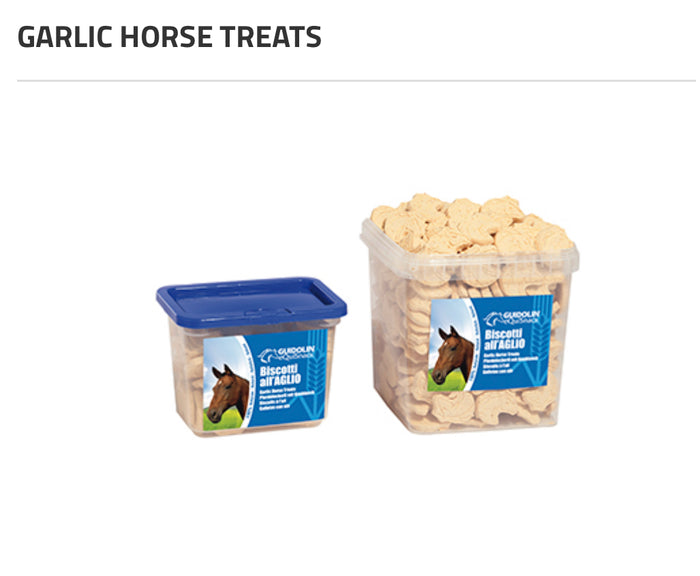 Guidolin Equisnacks