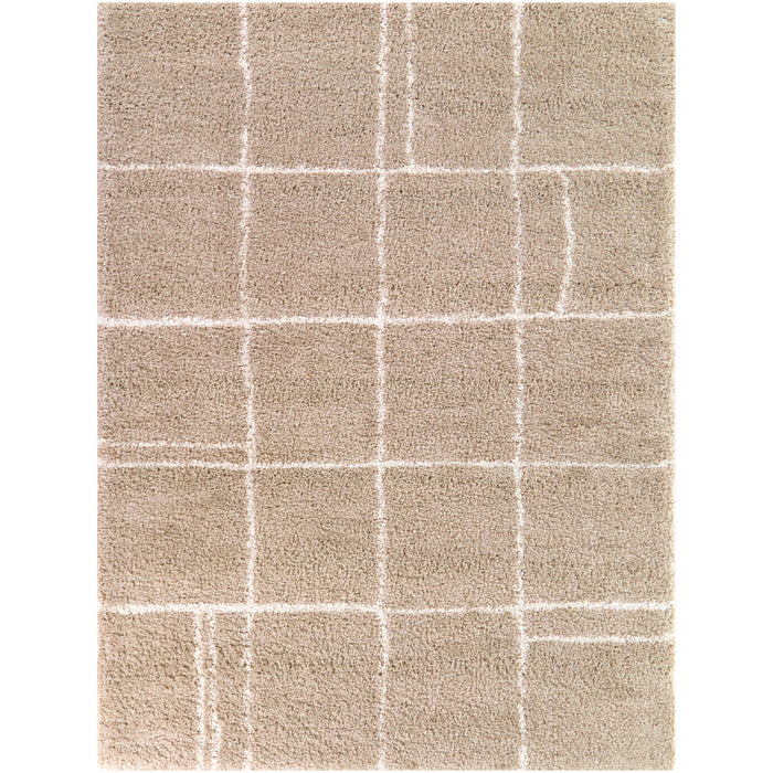 Hardin Beige 5x8 Abstract Area Rug QK1100889