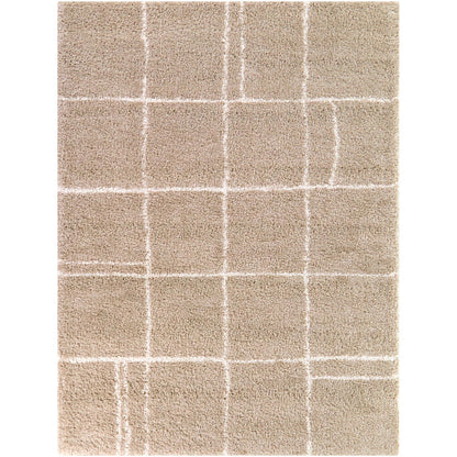 Hardin Beige 5x8 Abstract Area Rug QK1100889