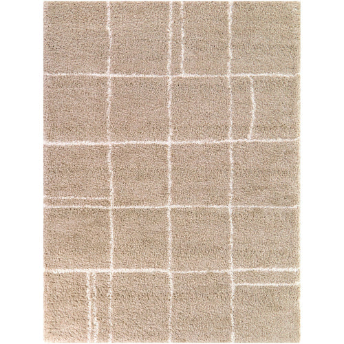 Hardin Beige 5x8 Abstract Area Rug QK1100889