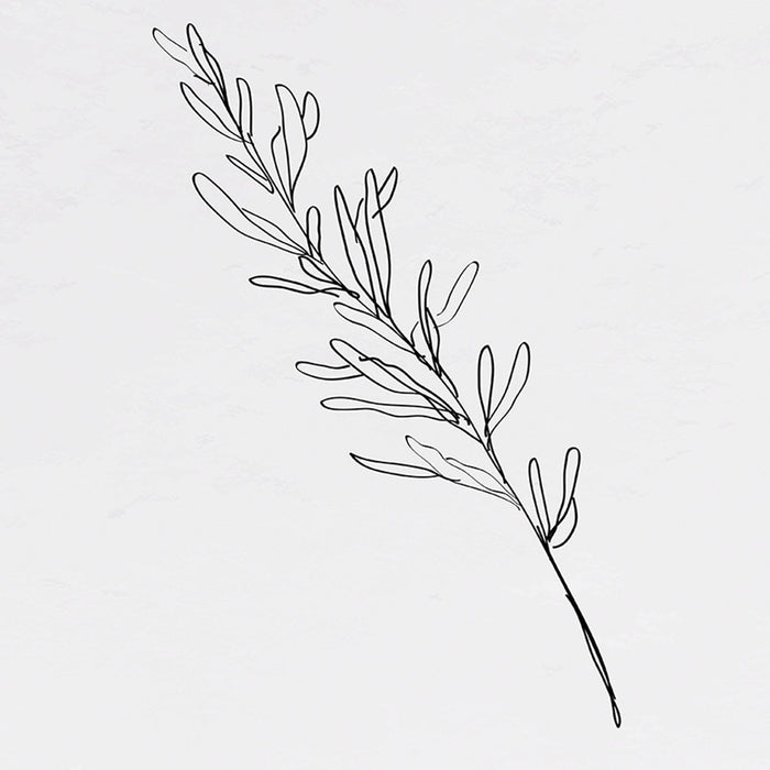 Swatch of the Ink Leaf III Wall Art