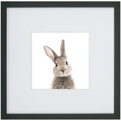 Kids Rabbit Face Wall Art - QK1062317_NORH_PRI_OL