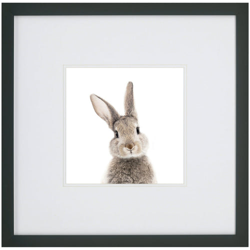 Kids Rabbit Face Wall Art - QK1062317_NORH_PRI_OL