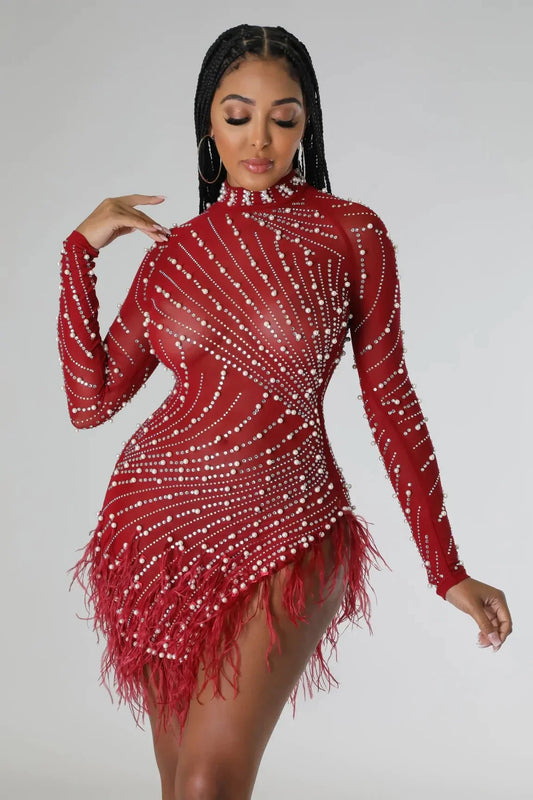 Look at Me Burgundy Mini Dress