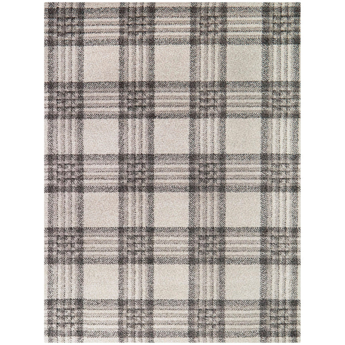 Gray / 8'x10' Rugs